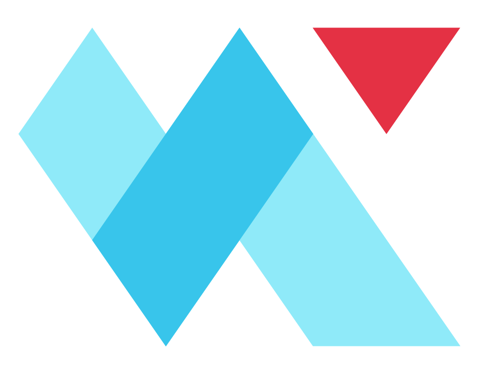 NETINT Technologies logo